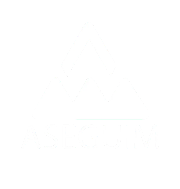 Aseguim Logo