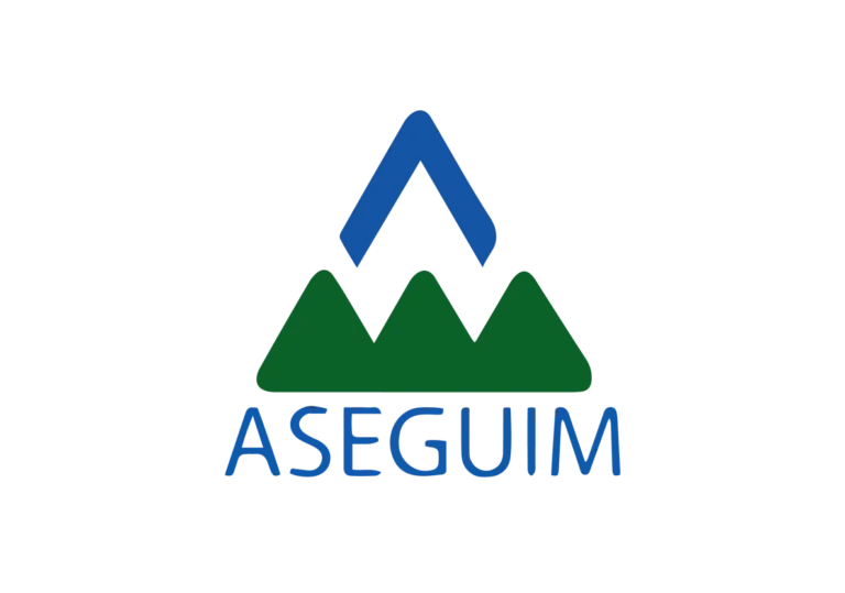 Aseguim Logo